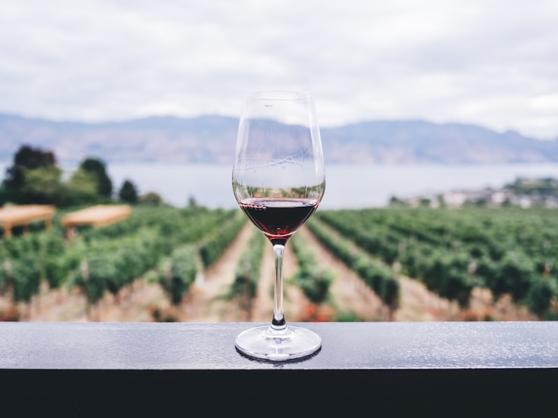 Glass of house wine